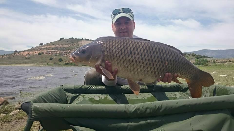 o partida dificila - 112424285517301549665044682574375467512229n.jpg